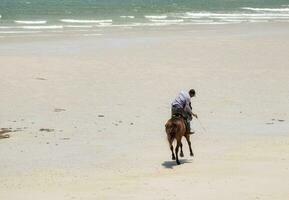 homem equitação cavalo em a de praia foto