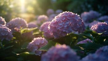 vibrante hortênsia florescer, uma presente do natureza gerado de ai foto