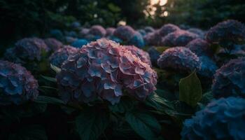 roxa hortênsia florescer, fresco beleza dentro natureza gerado de ai foto