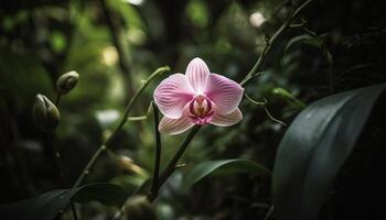 tranquilo cena do elegante orquídeas dentro flor gerado de ai foto