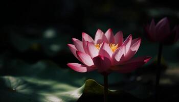 tranquilo cena do lótus Flor dentro lagoa gerado de ai foto