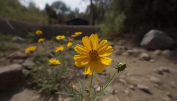 amarelo margarida pétala dentro fechar acima, cercado de verde Prado Relva gerado de ai foto