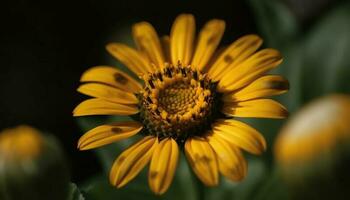 vibrante amarelo girassol Flor dentro Prado, atraindo orgânico abelha decoração gerado de ai foto