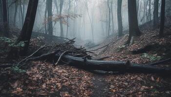 misterioso outono floresta, assustador beleza dentro natureza, tranquilo região selvagem cena gerado de ai foto