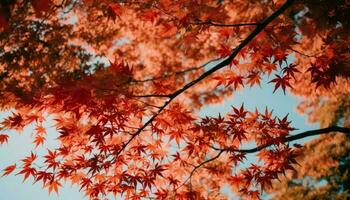 vibrante outono folhagem em japonês bordo árvore dentro floresta panorama gerado de ai foto