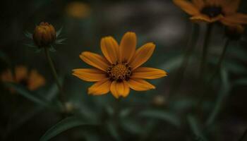 amarelo margarida Flor dentro vibrante Prado, cercado de verde folhagem gerado de ai foto