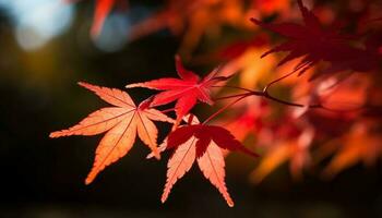 vibrante outono floresta japonês bordo folhas dentro multi colori beleza gerado de ai foto