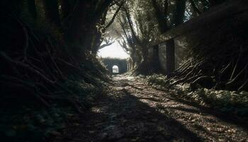 uma assustador velho floresta caminho desaparecimento para dentro uma misterioso horizonte gerado de ai foto