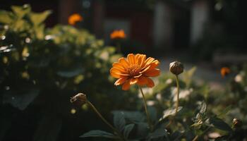 vibrante cosmos flor dentro Prado, cercado de verde folhagem gerado de ai foto