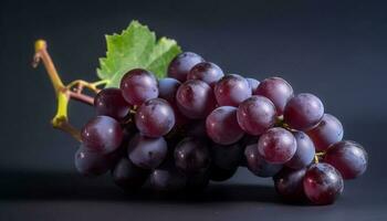 suculento uva cachos, maduro e fresco, perfeito para vinificação gerado de ai foto