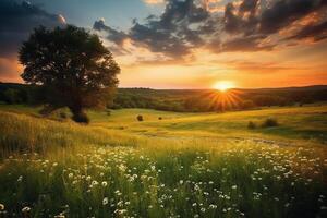 pôr do sol sobre uma campo com natureza. ai generativo foto