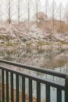 sakura cereja Flor ocupado dentro Primavera dentro Japão foto