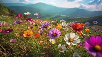 lindo colorida flor cosmos Campos com borrão montanha fundo. generativo ai foto