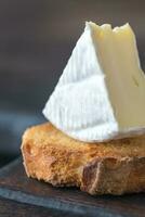 torrada com queijo Camembert queijo em a de madeira borda foto