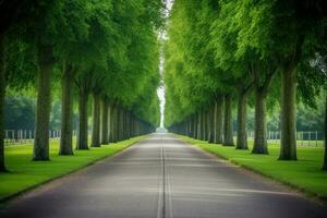 ai gerado em linha reta linha do pavimentou estrada conduzindo para dentro uma verde área. foto