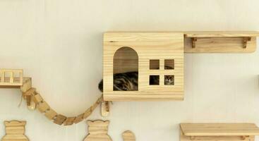 de madeira gato casa em parede foto
