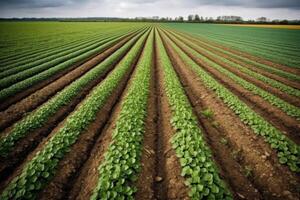 ai gerado agrícola indústria é uma principal contribuinte para estufa gás emissões e necessidades para adotar Mais sustentável práticas. foto