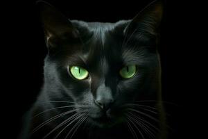 ai gerado minimalista retrato do uma lustroso Preto gato, com piercing verde olhos e sutil sombras. foto