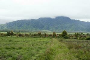 chá jardim dentro a área do montar kerinci, jambi, Indonésia foto