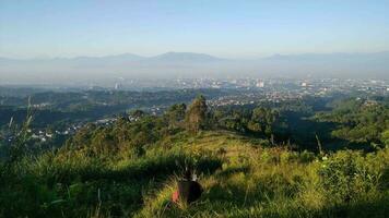 bem-vinda para bandung, uma cidade aninhado entre exuberante verde colinas dentro oeste Java, Indonésia. conhecido Como a Paris do Java Bandung exala uma único mistura do natural beleza e urbano charme. foto