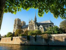 majestoso notre dame foto