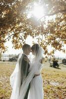 elegante lindo casal debaixo véu em pé dentro frente e olhando às cada outro. a noiva dentro uma lindo branco vestir. linda luz acrescenta uma romântico atmosfera. foto