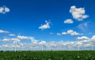 moinhos de vento para elétrico poder Produção dentro mandioca campo em azul céu foto