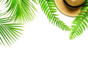 viajante acessórios, tropical Palma folha com fren folha e chapéu isolado foto
