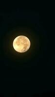 lua cheia no céu noturno foto