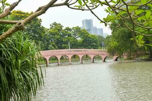 lindo flores dentro cheio flor e uma lindo ponte dentro a parque do Bangkok, tailândia. foto