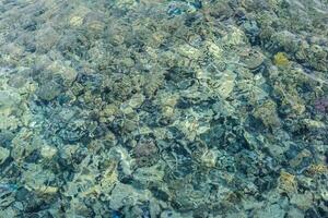 Visão a partir de a cais para a água com reflexões e a coral recife foto