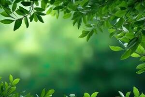fresco natureza Visão do verde folha em borrado vegetação fundo dentro jardim com cópia de espaço usando Como uma fundo, natural verde plantas panorama. ai gerado foto