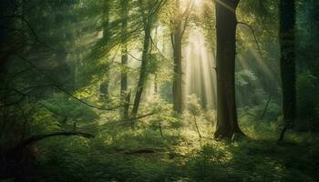 a misterioso floresta revela uma tranquilo cena do fantasia aventura generativo ai foto