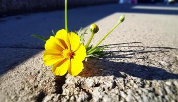 amarelo margarida pétalas aquecer dentro luz solar, cercado de verde Prado gerado de ai foto