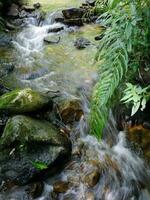 lento movimento natural cascata cachoeira, tropical floresta tropical paisagem aquática, grandes exposição tomada, declive do rochas, lindo natureza para fundo papel de parede foto