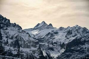 primeiro montanha dentro Grindelwald com alpino Visualizações Suíça. foto