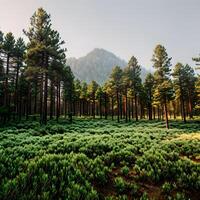 natureza cenário a árvores dentro a pinho floresta em uma Claro verão luz do dia com verde Relva padronizar criada com generativo ai tecnologia foto