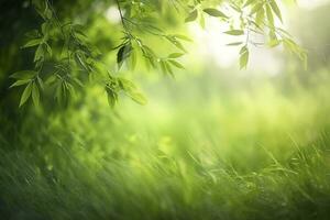 natural verde desfocado Primavera verão borrado fundo com luz do sol. suculento jovem Relva e folhagem em natureza dentro raios do luz solar, cênico enquadramento, cópia de espaço foto