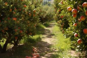 pêssegos crescendo em uma árvore dentro a verão. jardim com amadurecido frutas, pôr do sol claro. natural fruta em velho de madeira mesa. cópia de espaço. generativo ai. foto