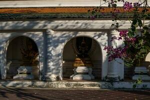 Buda estátua dentro a exterior cerca por aí phra caminho chedi a maior pagode dentro Tailândia e em torno da área foto