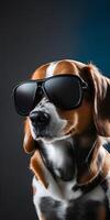 cachorro com oculos de sol em Sombrio fundo. ai gerado foto