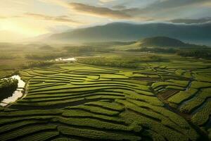 aéreo Visão agricultura sustentabilidade, pôr do sol, lindo campo. ai gerado foto