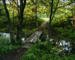 a velho de madeira ponte sobre uma pequeno rio dentro a verão floresta. a trilha este vai para dentro a distância foto