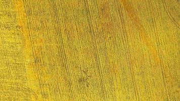 vista aérea do campo de cultivo de trigo amarelo foto