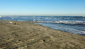 uma gaivota na praia da florida foto