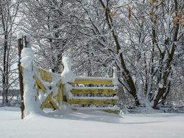 a cerca amarela após uma nevasca foto