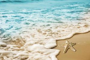 estrela do mar e ondas suaves na praia de areia