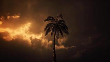 silhueta do Palma árvore contra laranja céu, tranquilo tropical atmosfera gerado de ai foto