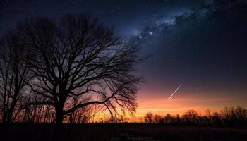 tranquilo cena iluminado árvore silhueta debaixo estrelado inverno noite céu gerado de ai foto