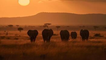 africano elefante rebanho pastar às pôr do sol em a savana avião gerado de ai foto